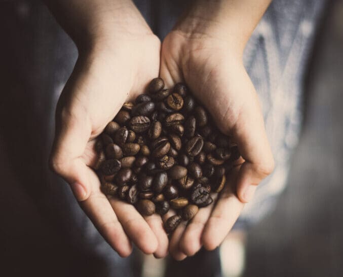 coffee beans in the hands