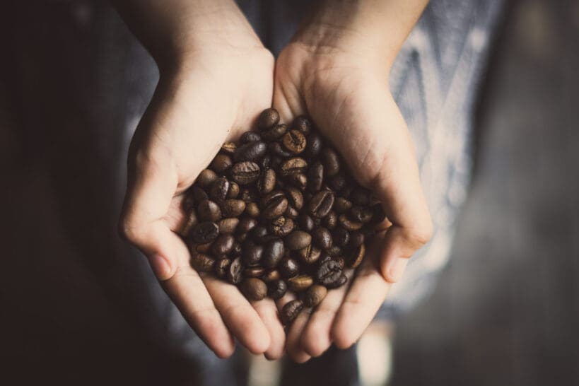 coffee beans in the hands