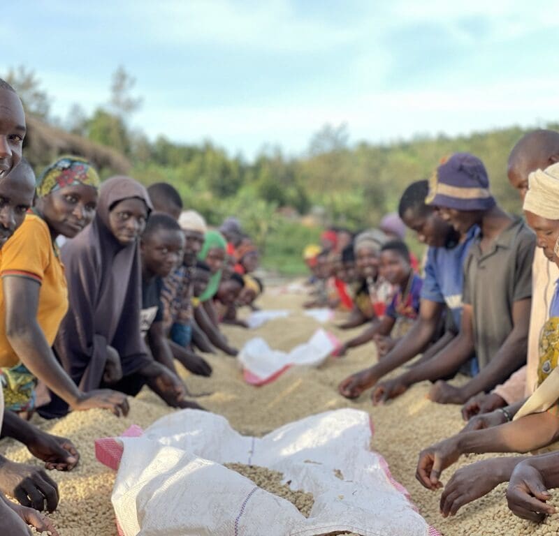 46F008A5 3223 4D66 9D39 DC7BC4E19354 1 105 c