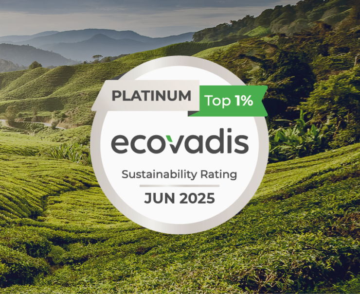 Header Ecovadis2025 1660x530px