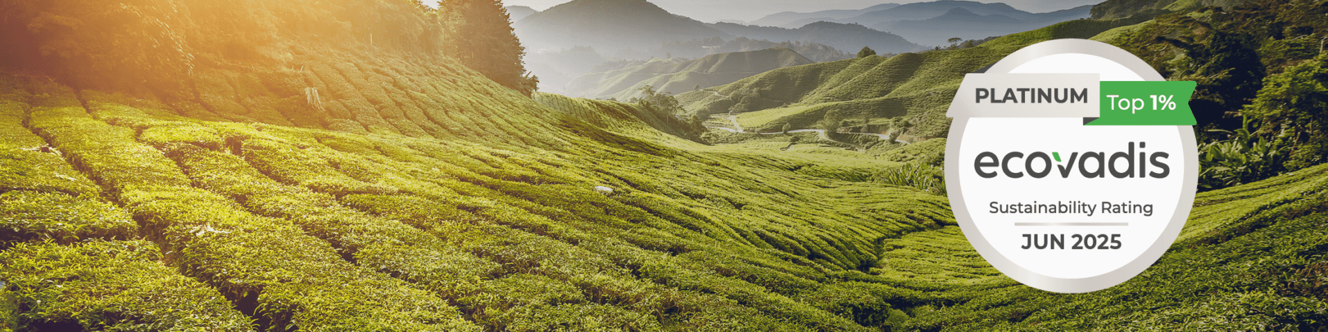 Header Ecovadis2025 1660x530px