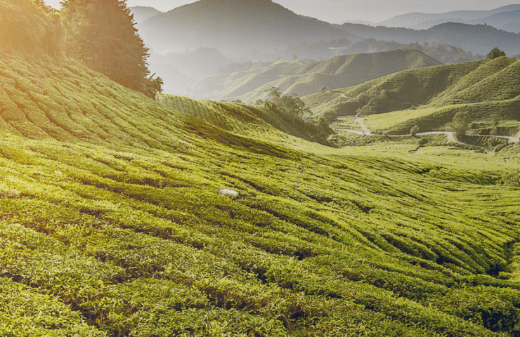 Header Ecovadis2025 1660x530px