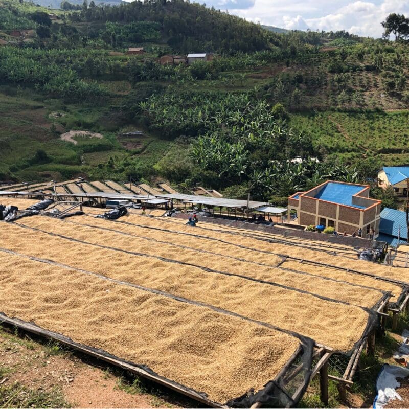 Schermafbeelding 2021 03 12 om 10.30 lr (1)