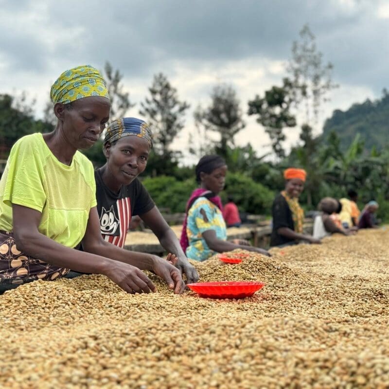 WhatsApp Image 2024 05 02 at 15.14.05